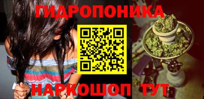 спайс Малгобек