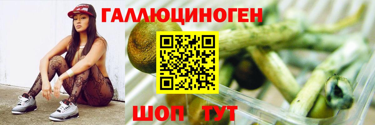 Верхняя Пышма  Галлюциногенные грибы мицелий  Вход с VPN 